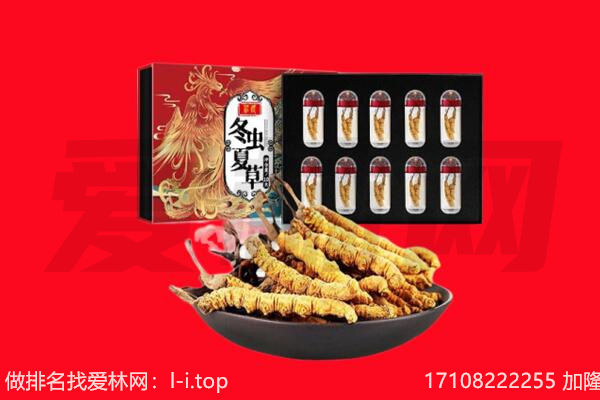 乌海回收虫草.jpg